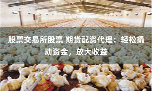 股票交易所股票 期货配资代理：轻松撬动资金，放大收益