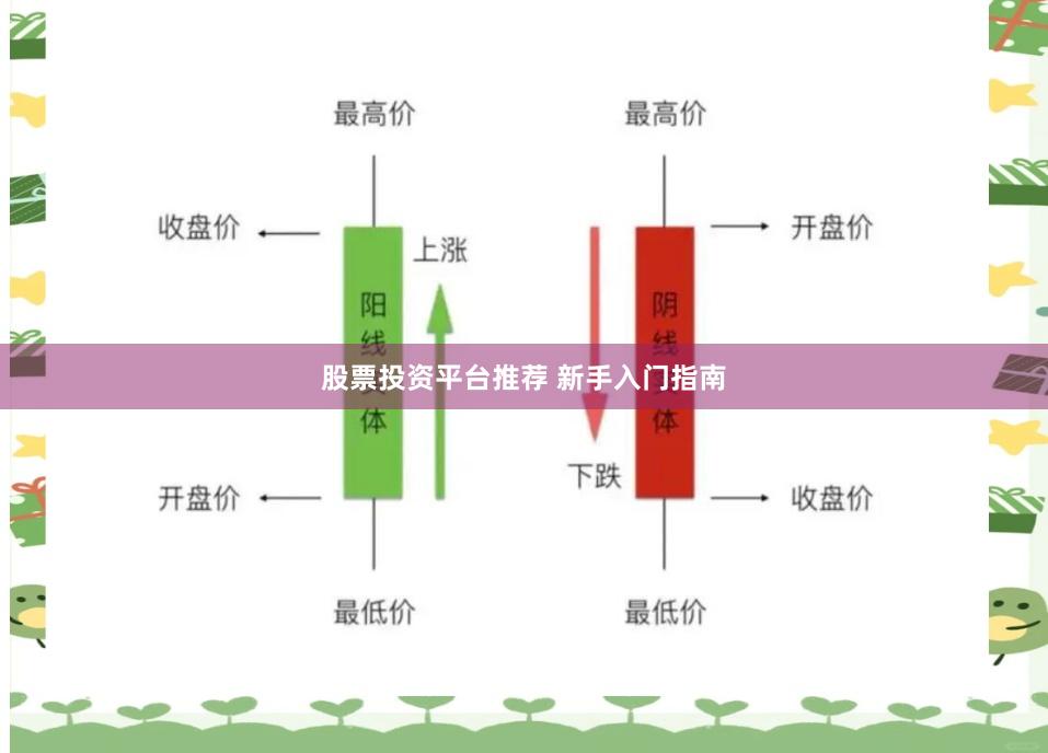 股票投资平台推荐 新手入门指南