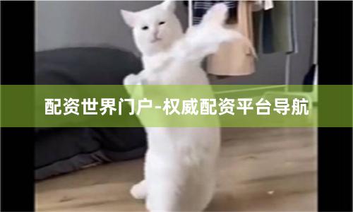 配资世界门户-权威配资平台导航