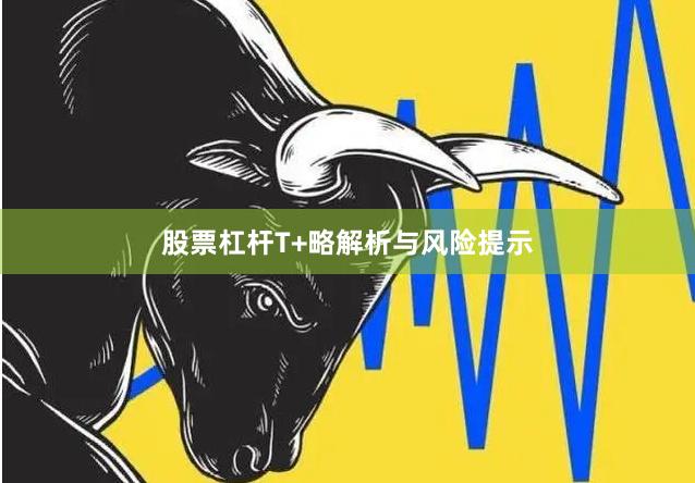 股票杠杆T+略解析与风险提示